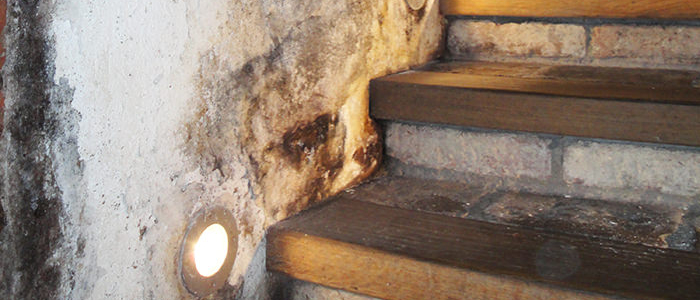 Capillary moisture in the cellar